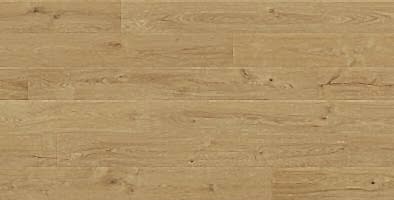 0470 Oak Toledo
