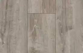 619 Sardinia Oak