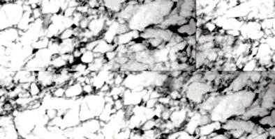 Stonex